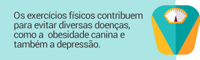 Os exerccios fsicos contribuem para evitar diversas doenas, como a  obesidade canina e tambm a depresso.