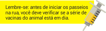 Lembre-se: antes de iniciar os passeios na rua, voc deve verificar se a srie de vacinas do animal est em dia.