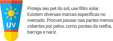 Proteja seu pet do sol, use filtro solar. Existem diversas marcas especficas no mercado. Procure passar nas partes menos cobertas por pelos, como pontas da orelha, barriga e nariz.