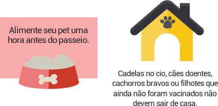 Alimente seu pet uma hora antes do passeio. Cadelas no cio, ces doentes, cachorros bravos ou filhotes que ainda no foram vacinados no devem sair de casa.