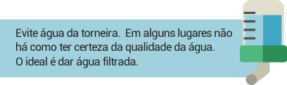 Evite gua da torneira.  Em alguns lugares no h como ter certeza da qualidade da gua. 
	O ideal  dar gua filtrada.